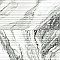 Touche Pleated Deco Zebre 11-3/4" x 23-1/2" Porcelain Floor and Wall Tile - 6 Tiles Per Case - 11.58 Square Feet