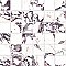 Touche 2" Square Rubis 11-3/4" x 11-3/4" Porcelain Mosaic Tile - 1 Tiles Per Case - 0.98 Square Feet