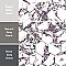 Touche 4" Hex Rubis 11-3/4" x 13-5/8" Porcelain Mosaic Tile - 1 Tiles Per Case - 1.13 Square Feet