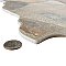 Canet Beige 17" x17" Porcelain Floor & Wall Tile - Sold Per Case of 6 - 12.24 Sq. Ft.