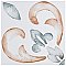Saint Germain Chaud Deco Flore 5-3/4" x 5-3/4" Porcelain Floor & Wall Tile - 10.46 Sq. Ft - 44 Tiles Per Case