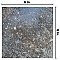 BioTech Ocean Coral Bay Matte 6" x 6" Porcelain Floor & Wall Tile - 32 Tiles Per Case - 8.32 Sq. Ft.