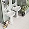 Kings Wild 7-5/8" x 47-5/8" Porcelain Floor & Wall Tile - 4 Tiles Per Case - 10.28 Square Feet
