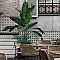 Harmonia Kings Star Nero 13"x13" Ceramic Tile - Sold Per Case of 10 - 12.19 Square Feet