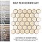 Hudson Due 2" Hex Caffe 10-7/8" x 12-5/8" Porcelain Mosaic Tile -10 Sheets Per Case -9.7 Sq. Ft.