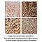 True 7-3/4" x 7-3/4" Ceramic Floor & Wall Tile - 25 Tiles Per Case - 10.75 Sq. Ft.