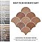 Scala Cotto 12-1/8" x 12-1/8" Porcelain Floor & Wall Tile - 9 Tiles Per Case - 9.36 Sq. Ft.