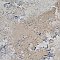 Antigua Deco Beige 13" x 13" Porcelain Floor & Wall Tile - Sold Per Case of 9 - 10.8 Sq. Ft.