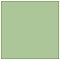 Monocolor Musgo 7-7/8" x 7-7/8" Ceramic Floor and Wall Tile - 25 Tiles Per Case - 11.25 Square Feet