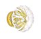 Clear Glass Fluted Knob, Small 1-3/16", Brass Base