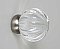Clear Transparent Glass & Brushed Nickel Melon Knob