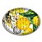 Michel Design Works Lemons Glass Soap Dish
