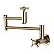 Millennium Wall Mount Pot Filler Kitchen Faucet -  Brushed Nickel