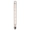 LED Filament Light Bulb: 6.5 Watt (60 Watt Equivalent)  Clear Tube Dimmable T9 Type