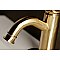 Fauceture Royale Single-Handle Monoblock Bathroom Faucet - Brushed Brass