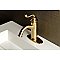 Fauceture Royale Single-Handle Monoblock Bathroom Faucet - Brushed Brass