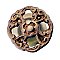 Scroll Knob, small - Antique Brass