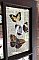 Repurposed Antique Window - Wall Decor - Antique Doilies Mirror & Dictionary Prints