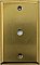 Raw Brass Single Cable Switchplate