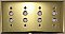 Polished Brass Quad Pushbutton Switchplate, Stamped Brass