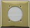 Polished Brass Wallplate for Dryer Opening / Two Gang