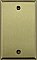 Satin Brass Single Blank Switchplate
