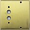 Antique Brass Forged Pushbutton / Blank Switchplate