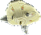 Antique "Porcelier" Orrington Series Porcelain Ceiling Light Fixture with Floral Motif - Circa 1930