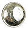 Antique Mercury or Silvered Glass Door Bell Pull - Circa 1870