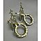 Antique Pair of Gothic Revival Nickel Plated Ring Door Pulls and Escutcheons - Circa 1880