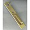 Antique Large Cast Bronze Door Pull With Plate and Cylinder Opening