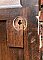 Antique Pine Exterior Door With Glass