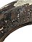 Antique Cast Iron Fireplace Frame Horseshoe Classic Arch Small - Circa 1890