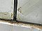 Pair of Antique 59-3/4" wide x 83-3/8" high Leaded French Doors - Circa 1920