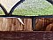 Antique Elizabethan Stained Glass Window Sash Circa 1880 - Blue, Green, Purple, Amber