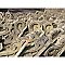 Antique Exterior Pine Corbels