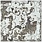 Aevum Dark Ornato 7-7/8" x 7-7/8" Ceramic Tile - Per Case of 21 Tile - 9.24 Sq. Ft. Per Case
