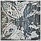 Aevum Dark Ornato 7-7/8" x 7-7/8" Ceramic Tile - Per Case of 21 Tile - 9.24 Sq. Ft. Per Case