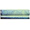 Antic Special Agua Marina 2" x 6" Ceramic Moldura Wall Trim - Sold Per Tile - 0.08 Square Feet