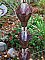 Unfinished Copper Bluebell Cups Rain Chain