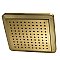 Kingston Brass K250A7 Shower Scape 9-5/8" Square Rainfall Shower Head - Brushed Brass