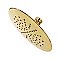 Kingston Brass KX672 Shower Scape 7-Inch Rain Shower Head - Polished Brass