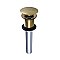 Kingston Brass EV7002 Push Pop-Up Bathroom Sink Drain without Overflow, 22 Gauge, Polished Brass
